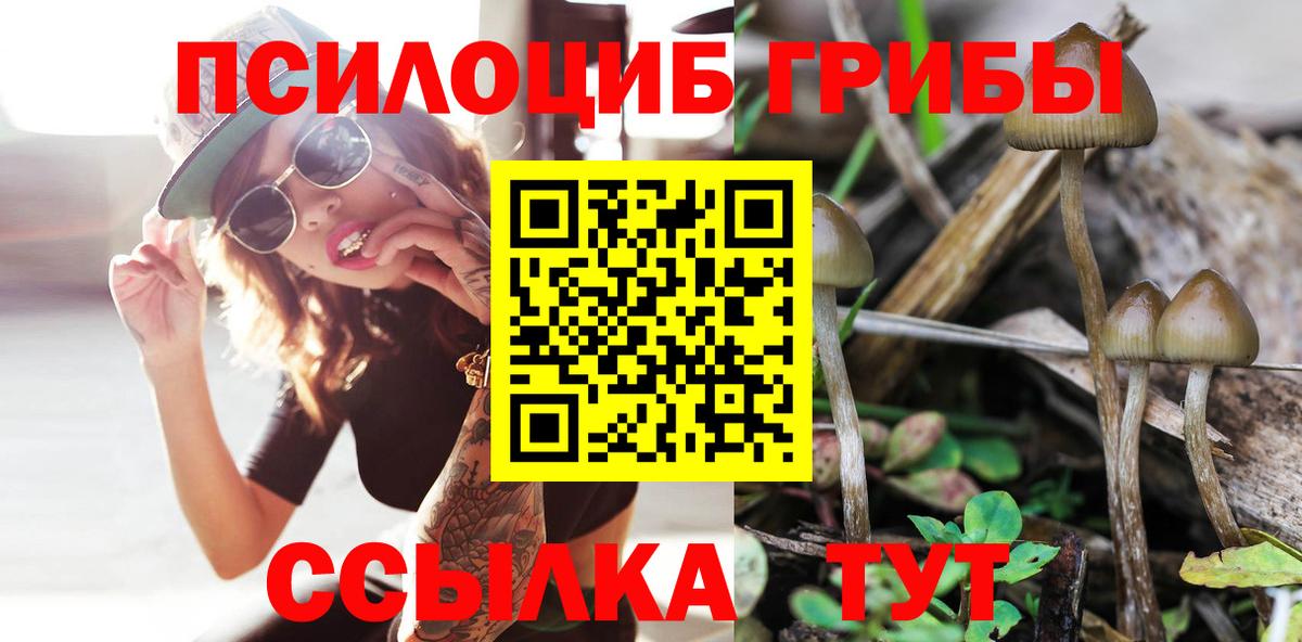 Галлюциногенные грибы Magic Shrooms  наркотики  Вход с VPN  Протвино  Галлюциногенные грибы мицелий 