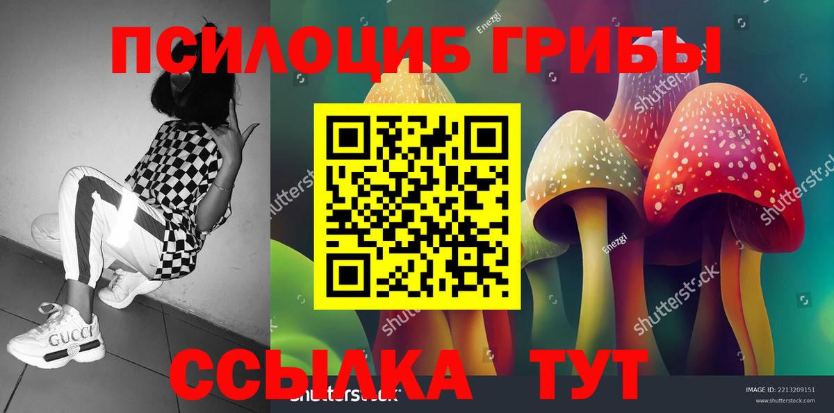 Галлюциногенные грибы Psilocybine cubensis Протвино